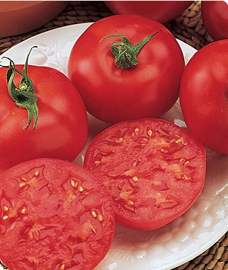 Red October Hybrid Tomato
